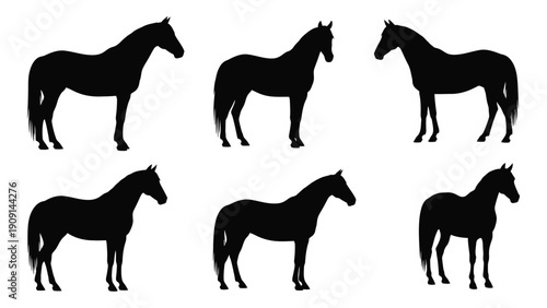 Six black silhouette horses in various poses standing on a white background isolated on white background, Vector
