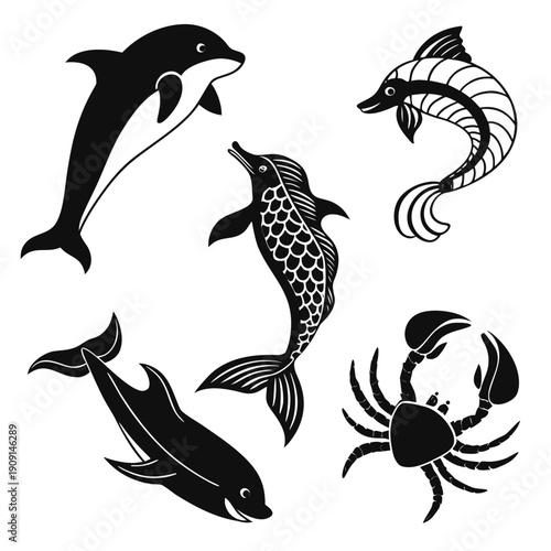 Marine animals including dolphin crab and fish