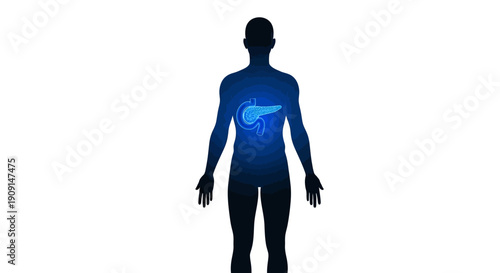 Stunning 3D visualization of the human pancreas glowing with vibrant blue energy, showcasing its vital internal organ within a silhouette