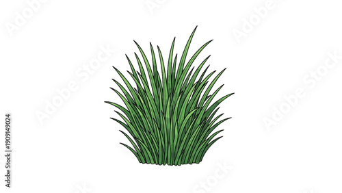 Illustration of lush green grass blades clustered together in a natural setting viewed from the side