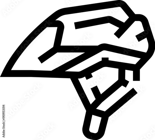 Brisket cut of uncooked red meat representing a common food item or ingredient for cooking, shown as a simple black line art icon on a white background