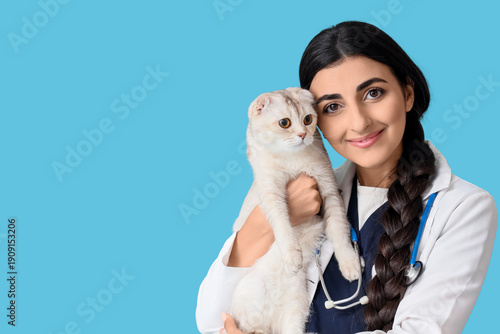 Young female veterinarian holding cute Scottish fold cat on blue background