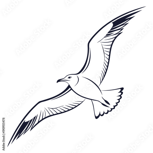 A seagull flying through the air with its wings spread