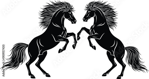 Detailed Black and White Vector Illustration of Two Majestic Wild Horses Rearing Up on Hind Legs Facing Each Other with Long Flowing Manes and Tails