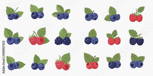 Set of fresh blueberries, raspberries, and blackberries with green leaves on a transparent background, perfect for healthy food designs.
