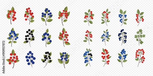 Collection of vibrant berry branches with green leaves, featuring red, blue, and black berries on a transparent background.