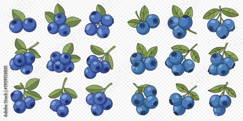 Set of fresh blueberries with green leaves, cartoon style berries, healthy food vector illustration.