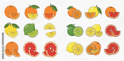 Collection of citrus fruits: oranges, lemons, limes, and grapefruits, whole and sliced, on a transparent background.
