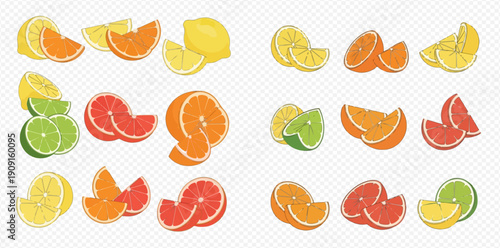 Vibrant collection of fresh citrus fruit slices and halves, including lemons, oranges, limes, and grapefruits, perfect for healthy eating designs.