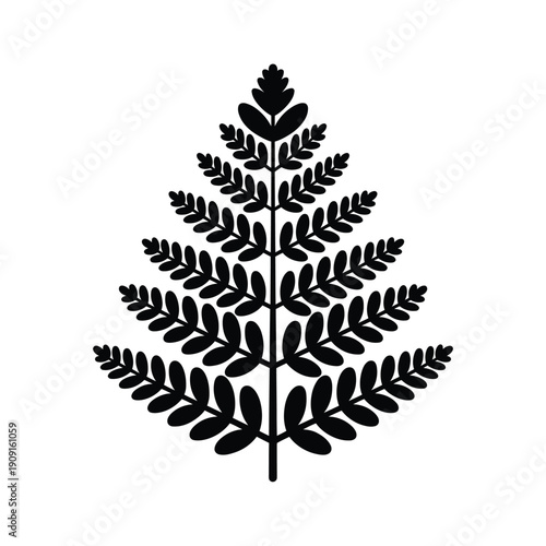 A symmetrical black and white illustration of a single fern frond