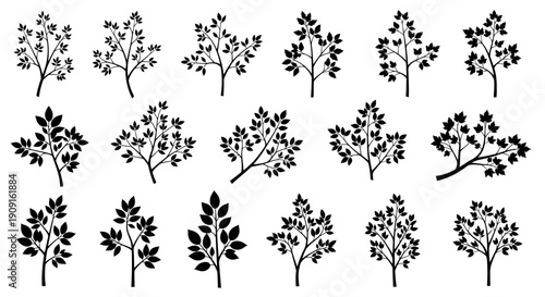 Collection of Black Silhouette Tree Branches with Leaves, Vector Illustrations