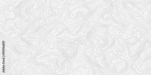 Smooth White Contour Landscape Illustration with Modern Relief Mapping
Abstract Terrain Flow Design with Clean Elevation Pattern