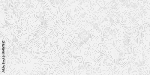 White Elevation Terrain Illustration with Minimal Layered Land Outline
Topographic Relief Texture with Smooth Surface Pattern