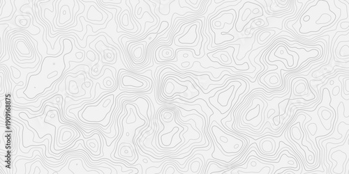 Organic Topographic Landscape Pattern with White Curved Contour Lines
Smooth Relief Surface with Minimal Terrain Flow Design