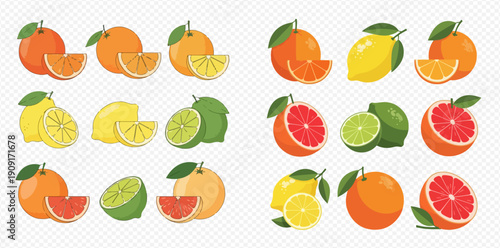 Set of citrus fruits: oranges, lemons, limes, and grapefruits, whole and sliced, with leaves, on a transparent background.