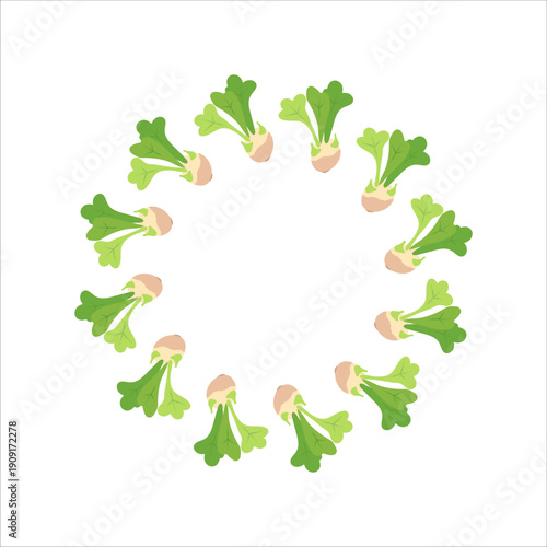Round vector frame of kohlrabi cabbage and vegetables on white background