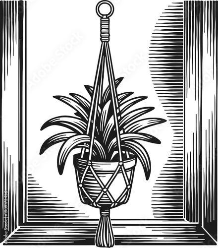 Hanging potted plant in macrame holder by window frame in black and white vintage line art