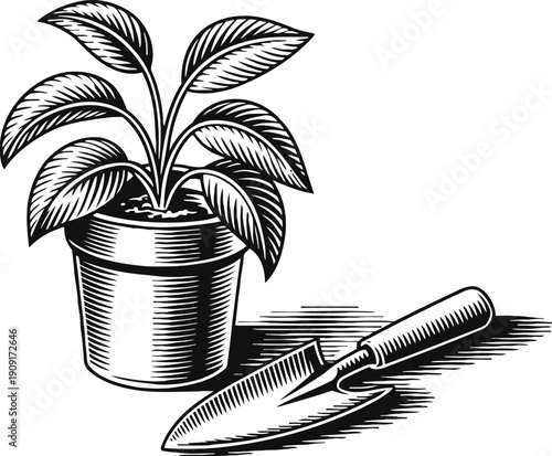 Potted houseplant with leaves and gardening trowel tool for planting and soil care