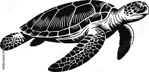 Black and white sea turtle illustration marine animal with detailed shell and flippers swimming in ocean