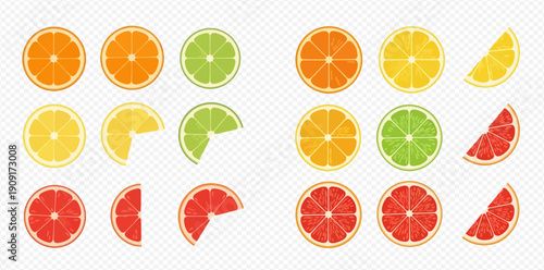 Vibrant collection of citrus fruit slices including oranges, lemons, limes, and grapefruits, perfect for healthy eating concepts.