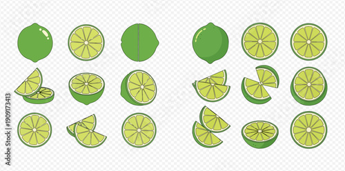 Set of fresh green lime illustrations, whole, half, and sliced citrus fruits, healthy food concept.