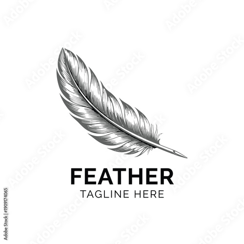 Detailed sketch of a single feather with accompanying text label