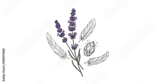 Lavender flowers with feathers and crystal on white background