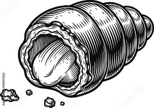 Seashell engraving illustration detailed black and white conch shell with textured lines and sand grains