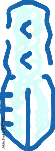 Home pregnancy test showing two blue lines for a positive result, symbolizing conception, expecting parents, fertility and women's health on a clean white background