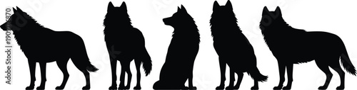 Silhouette of wolves in various poses, standing, sitting, detailed fur texture, expressive animal posture, wildlife vector illustration design for stock