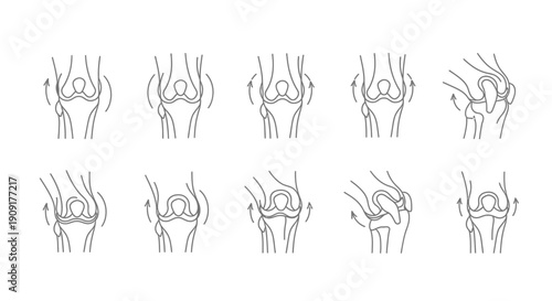Knee Joint Anatomy and Movement: Diagrams of Bone Articulation and Ligament Action