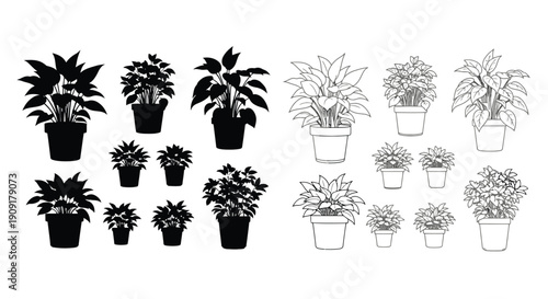 Black and white line art illustration of various potted houseplants