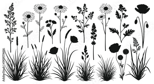 A collection of wildflowers and grasses in a monochrome style