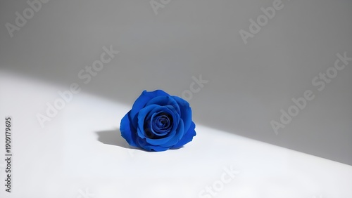 Elegant blue rose on white surface with soft shadow, perfect for luxury and romantic themes