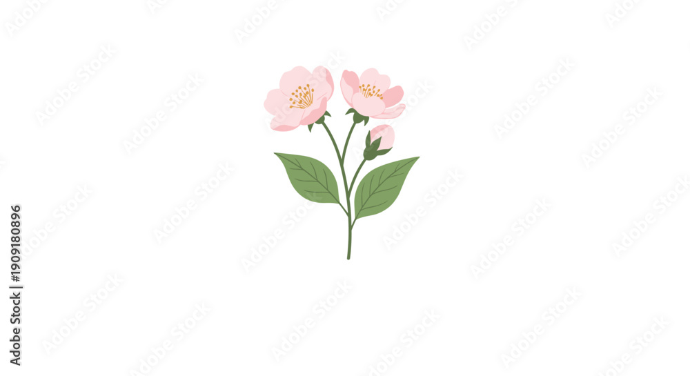 Obraz premium Small branch with pink cherry blossoms and green leaves centered on a plain white background for minimalist design.