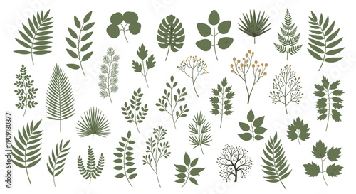 Wide variety of green leaves and botanical branches in different shapes and sizes as a flat design element set for projects.