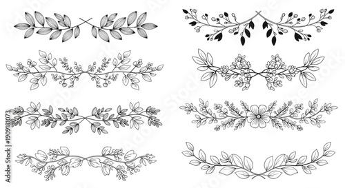 Set of black and white hand drawn floral borders and dividers for wedding invitations or greeting card design.