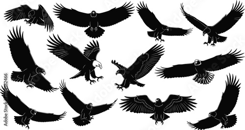 Eagle silhouettes in flying positions, majestic bird vector illustration, wildlife art design, decorative nature motif, powerful avian pattern concept