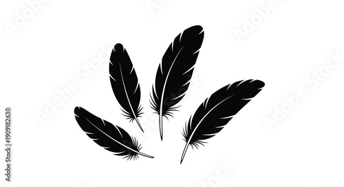 Four black feathers arranged on a plain white background