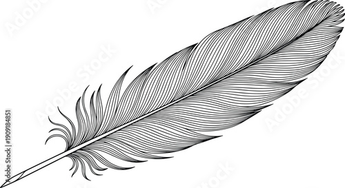 Detailed feather silhouette illustration, realistic nature vector design, decorative wildlife motif, artistic pattern concept, symbolic bird element