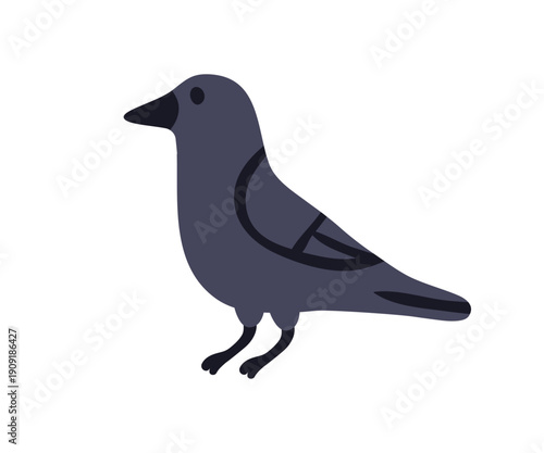 Raven in side view. Feathered black urban bird with folded wings, beak, profi...