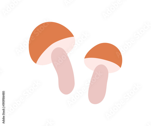 Boletus mushrooms composition. Forest fungi, natural organic food. Autumn seasonal ingredient. Porcini, healthy bolete, fall fungus. Flat vector illustration isolated on white background