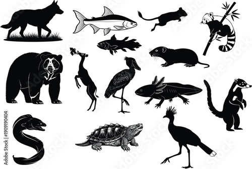 Diverse animal silhouettes collection