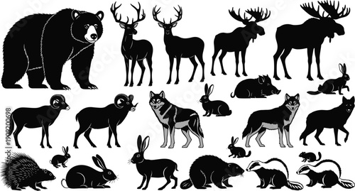 North American wildlife animal silhouettes, bear deer moose vector illustration, educational chart design, artistic nature motif, forest creature pattern