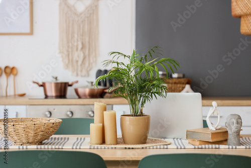 Candles, houseplant and mod...
