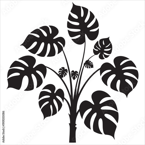 Minimalist Monstera Deliciosa Plant Silhouette Swiss Cheese Plant Botanical Icon