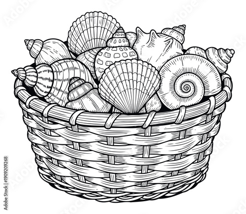 A charming hand drawn basket filled with an assortment of intricate seashells, perfect for summer vacation themed print materials, decorations, or educational resources.