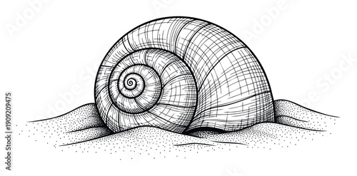 Detailed hand drawn snail shell resting on sandy ground, featuring intricate spiral patterns and natural textures, perfect for natureinspired educational resources and rustic coastal decor