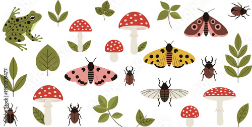 Forest insects and nature illustration with butterflies beetles moths frog leaves and mushrooms whimsical flat vector design for kids education and woodland projects