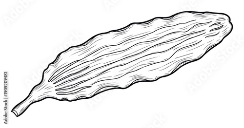 Detailed black and white outline drawing of a long organic plant leaf with wavy edges, ideal as a versatile graphic element for food packaging or natural product branding.